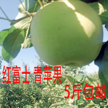 新果现摘现发当季水果陕西青苹果5斤新鲜孕妇应季水果酸甜脆苹果
