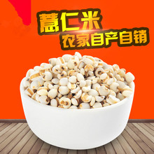 薏米仁薏仁米苡仁五谷杂粮粗粮油250g 包邮 满十件 新鲜贵州薏米