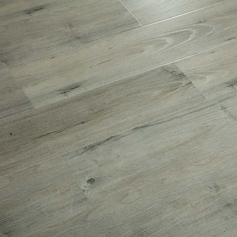 ����ǿ��������ĥ�ذ�XD