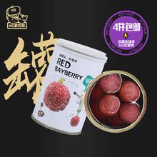 桃夫子杨梅罐头新鲜水果杨梅糖水罐头即食425g nG家