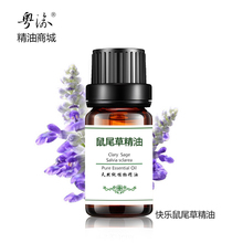 粤渝单方精油商城快乐鼠尾草精油欧鼠尾草10ml天然香薰厂家