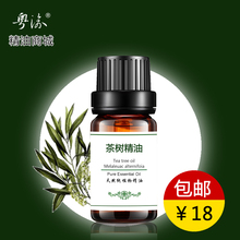 茶树精油面部控油粉刺脸部按摩护肤单方收缩毛孔正品 10ml茶树油