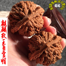 文玩核桃麒麟纹王勇矮桩45mm大官帽野生麻核桃精品把玩件一对
