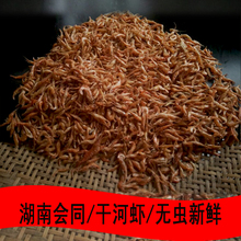 湖南湘西怀化会同特产野生淡水河虾自家火炕干虾子本地虾干货250g