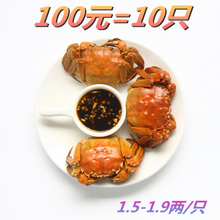 徽周 鲜活大闸蟹1.5两-1.9两螃蟹10只装新鲜河蟹小螃蟹现货