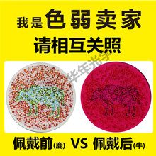 隐型 红绿色盲色弱光学矫正眼镜看检查检测色盲图谱近视通用升级款