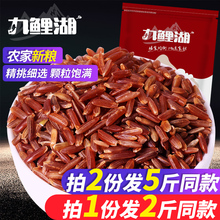 拍1发2斤拍2发5斤 九鲤湖农家红米红糙米农家粳米红血稻500g 红米