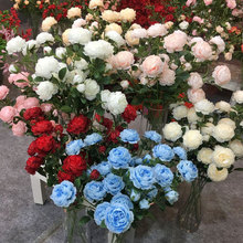 花伊然 3头洋牡丹 仿真花洋牡丹婚庆洋牡丹绢花欧式茶玫牡丹花头