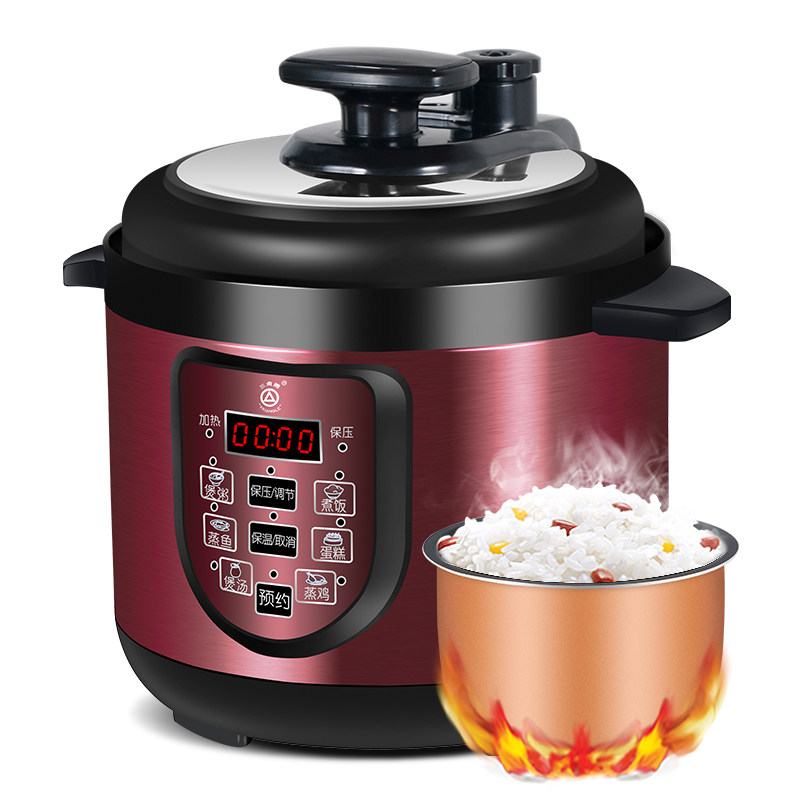 �����Ƶ��ѹ�� WYB-S0201