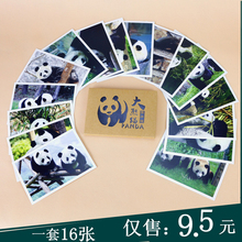 包邮 10件 四川旅游纪念品熊猫贺卡大熊猫明信片九寨沟美食川西景区