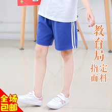 小学生校服短裤 春夏季装 统一正品 男女同款 深圳市校服专卖