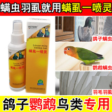 螨虱一喷灵 信鸽药品赛鸽鹦鹉鸟螨虫净羽虱八哥驱虫 汉诺威鸽药
