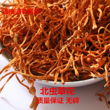 包邮 农家虫草花北虫草新会金虫草汤蛹虫草干货500g