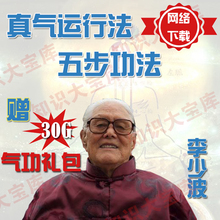 2013版李少波真气运行法五步功法打通任督二脉气功教学视频教程