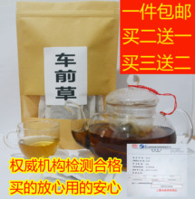 高山车前草干药新鲜野生车前草袋泡茶50包新货降酸排酸茶包邮