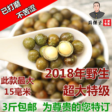 超大二青特级鸡头果新鲜芡实鸡头米500g野生鸡头籽鸡菱籽天长龙岗