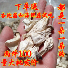 福建武夷山茶花菇长寿菇白菇鸡鸡菇干货土特产姑奶奶人参菇500克