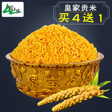 拍4送1斤_500g黄小米 新米农家自产杂粮食 小米粥原料
