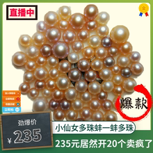 包邮 不退不换 七彩仙女多珠直播间开蚌取珠鲜活活体diy淡水养殖