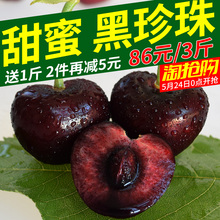非大连现货樱桃 包邮 10点美早3斤 山东烟台大樱桃车厘子新鲜水果5