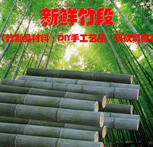 料本色毛竹DIY材 竹品编织材料 楠竹现砍现锯竹段 新鲜竹子材料