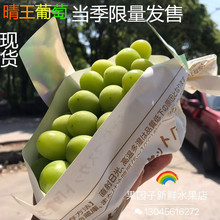 包邮 晴王葡萄香印青提阳光玫瑰葡萄新鲜孕妇水果2斤1到2串 新品