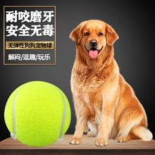 狗狗玩具球金毛泰迪弹力球耐咬磨牙网球宠物幼犬拉布拉多小狗玩具