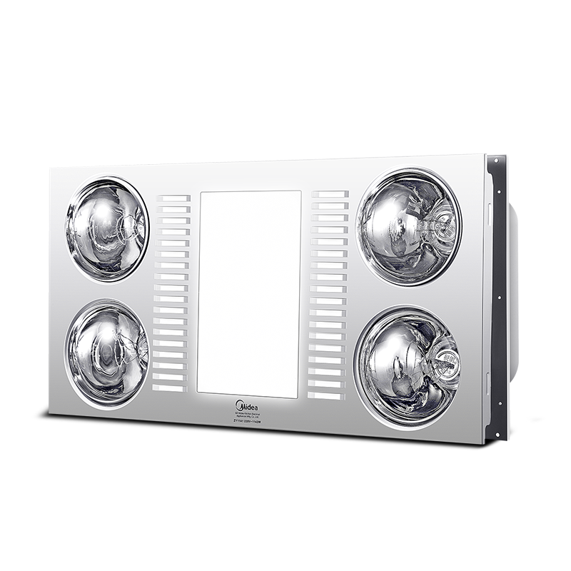 ����ԡ��ZY11A1