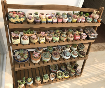 室外木花架特价