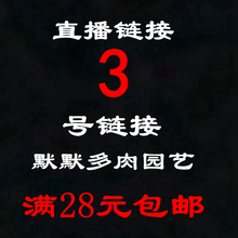 一物一拍 所见即所得 精选多肉植物绿植盆栽 3号链接 默默直播间