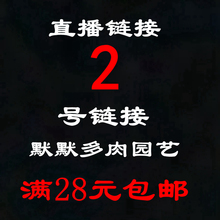 创意花卉防辐射 多肉植物精选绿植盆栽 2号链接 默默直播间