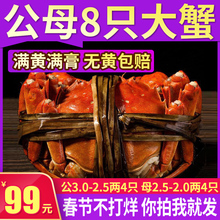大蟹共8只现货新鲜大闸蟹鲜活特大全母全公螃蟹 公蟹3两母蟹2.5两