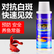 森森白点灵鹦鹉地图锦鲤鱼金鱼鱼身白点病液体非鱼药药水