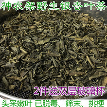 特级新茶头采嫩叶银杏茶叶片脱毒 包邮 500克 神农架银杏叶茶