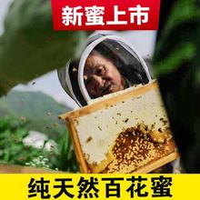 周正龙高山土蜂蜜天然野生百花蜜无添加500g两瓶