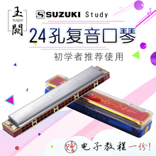 AFG升C口琴 小学生复音口琴SUZUKI铃木口琴24孔单音口琴Study
