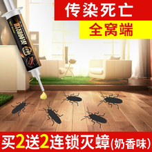 蟑螂药粉家用一窝全窝端屋捕捉器灭神器贴杀克星胶饵强力除驱小强