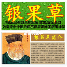 非甘露茶清热化痰百草清音润喉四季养生一周期装 银果草茶官网正品