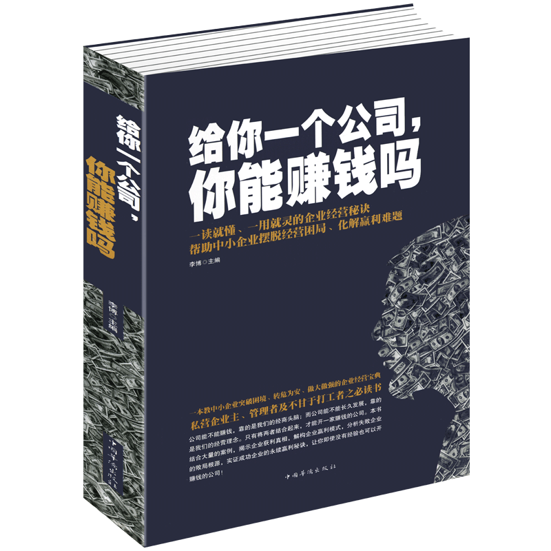 正版包邮 给你一个公司.你能赚钱吗 企业营销管理书籍 团队建设与激励指导 创业者总经理合伙人枕边书 创业环境形式分析 畅销书籍