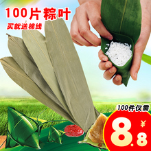 粽子叶100片棕叶棕子叶非芦苇叶新鲜纯竹天然干粽叶大宽批发 粽叶