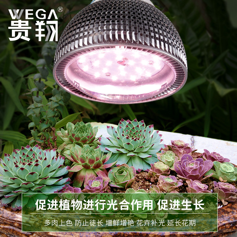 植物灯生长灯 贵翔全光谱LED育苗蔬菜大棚玫