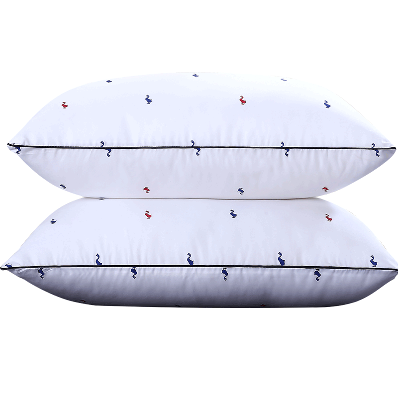 ��ȸ��˿������ˮϴ������