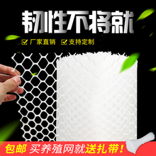 塑料网格防护网塑料网养殖网阳台护栏网防掉东西胶网儿童塑料平网