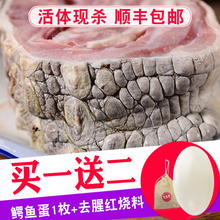 全皮鳄鱼肉2斤生鲜食材活体宰杀 送鳄鱼蛋 新鲜冷冻水产 变质包赔