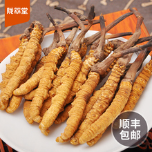 陇萃堂 西藏那曲冬虫夏草 虫草 散装无断草3- 4条/克