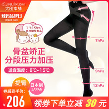 日本犬印孕妇丝袜产后收腹连体裤 袜产妇收跨骨盆提臀打底袜不勾丝