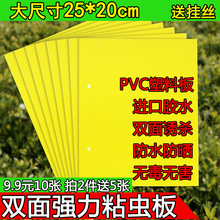 高端粘虫板黄板诱虫板双面防水果园茶园捕捉杀蚜虫粉虱小飞黑虫