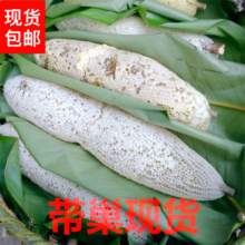 云蜂古山云南野生小挂蜂蜜小草蜂巢蜜带蜂巢发小蜜蜂百花蜜