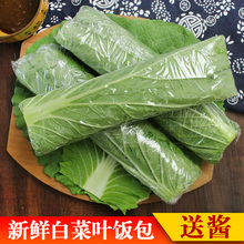 东北大白菜叶子 20片新鲜蔬菜 免运费 饭包 包邮 白菜叶 大饭包叶