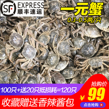 苏八鲜香辣蟹1一元蟹小螃蟹100只鲜活大闸蟹河蟹老头蟹麻辣小闸蟹